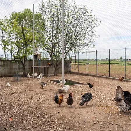Casa di campagna Pozzo Fiorito Castiglione Delle Stiviere